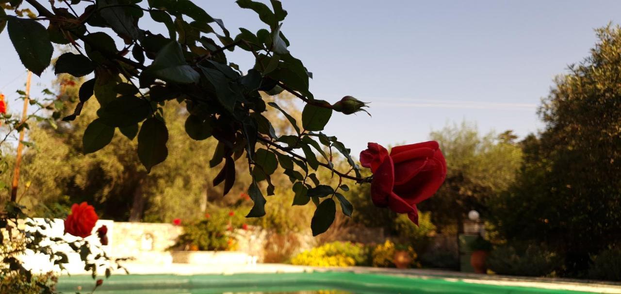 Livadi Studios With Pool Lákka Exteriér fotografie