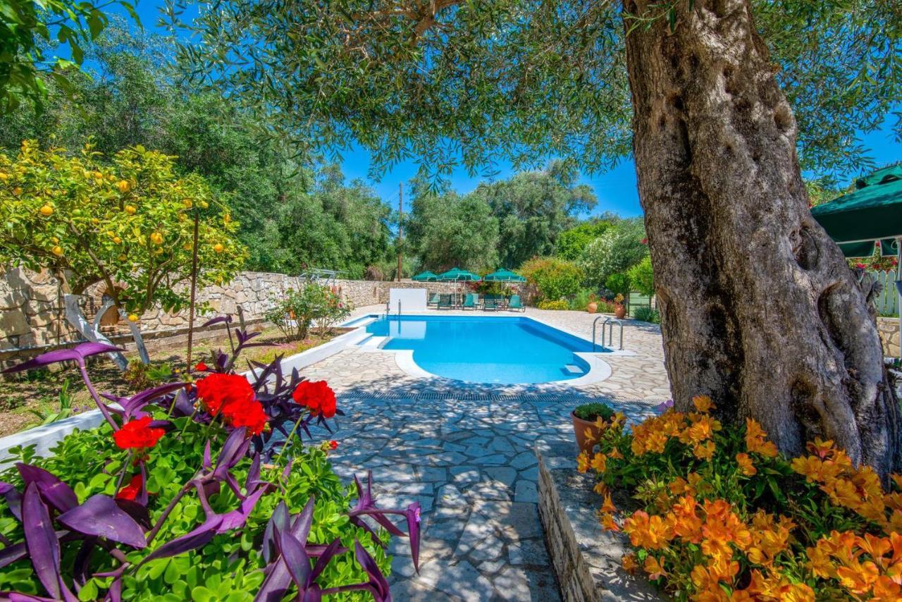 Livadi Studios With Pool Lákka Exteriér fotografie